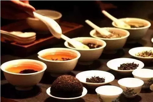 茶韻養(yǎng)生 解鎖普洱茶的保健功效與養(yǎng)生服務之道